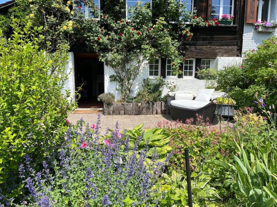 Charming Alps Apartment Perfect For Walk/Cycle/Ski Eschenbach Екстер'єр фото