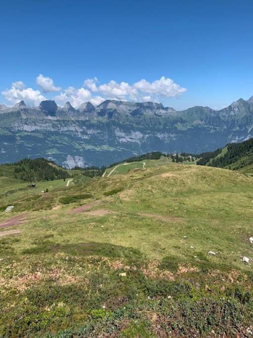 Charming Alps Apartment Perfect For Walk/Cycle/Ski Eschenbach Екстер'єр фото