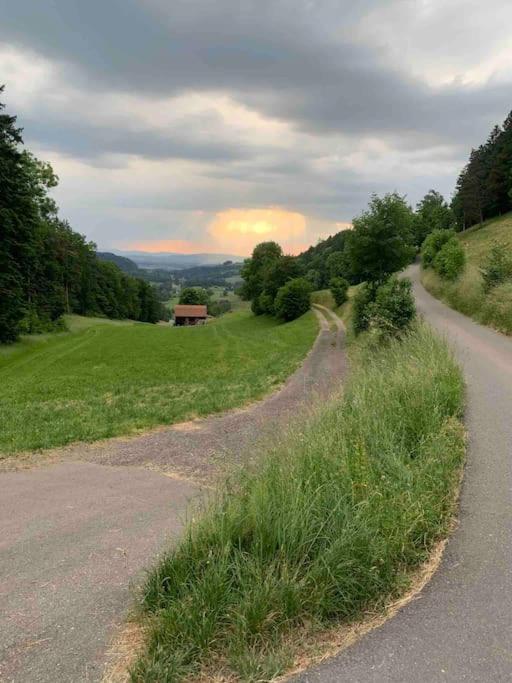 Charming Alps Apartment Perfect For Walk/Cycle/Ski Eschenbach Екстер'єр фото